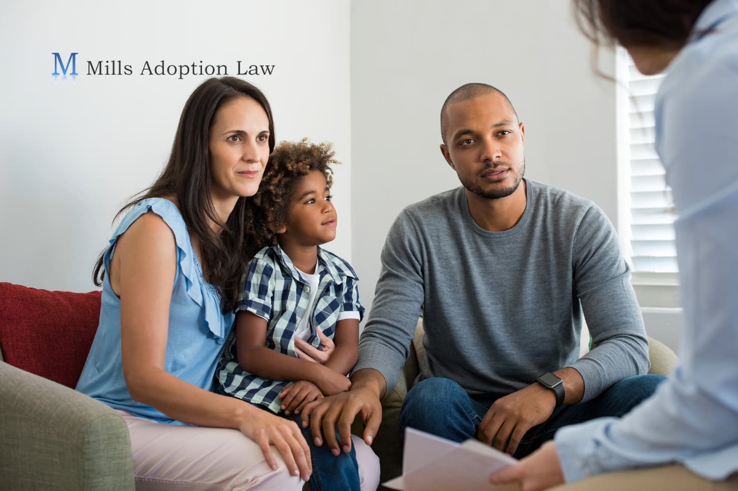 What Are the 7 Core Issues of Adoption in North Carolina?